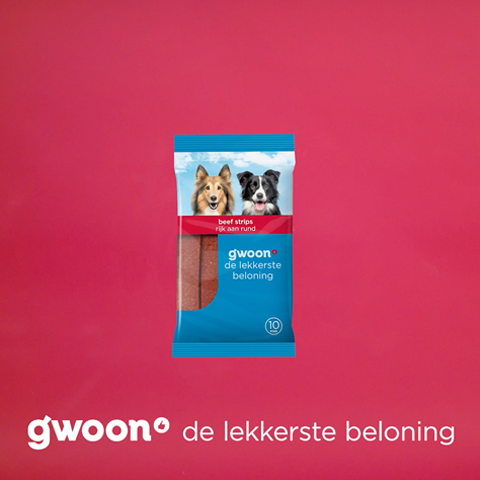 CONTENT_07_Gwoon_dierendag